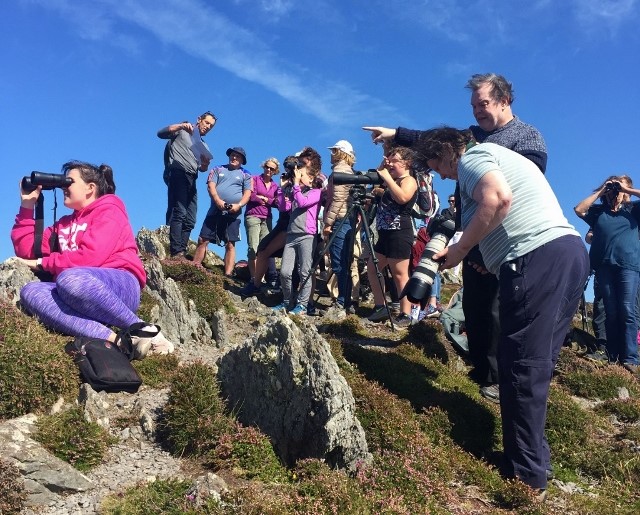 Whale Watch Ireland - Recap